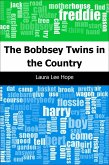 Bobbsey Twins in the Country (eBook, PDF)