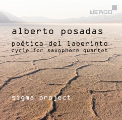 Poética Del Laberinto - Sigma Project