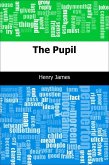 Pupil (eBook, PDF)