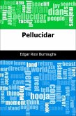 Pellucidar (eBook, PDF)
