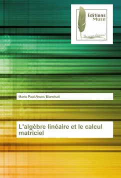 L'algèbre linéaire et le calcul matriciel - Ahues Blanchait, Mario Paul