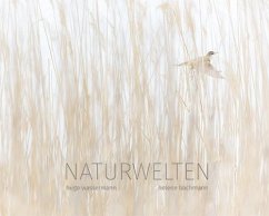 Naturwelten - Bachmann, Helene