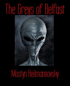 The Greys of Belfast (eBook, ePUB) - Heilmannovsky, Mostyn