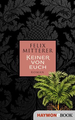 Keiner von euch (eBook, ePUB) - Mitterer, Felix