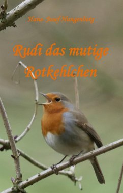 Rudi das mutige Rotkehlchen (eBook, ePUB) - Hungenberg, Hans- Josef