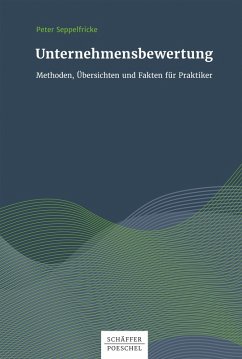 Unternehmensbewertungen (eBook, PDF) - Seppelfricke, Peter