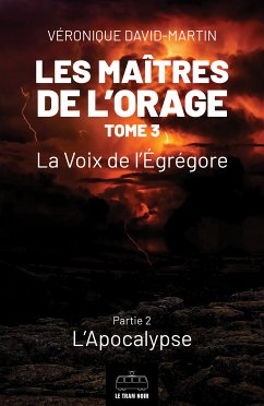 Les Maîtres de l'orage - Tome 3 : Partie 2 (eBook, ePUB) - David-Martin, Véronique