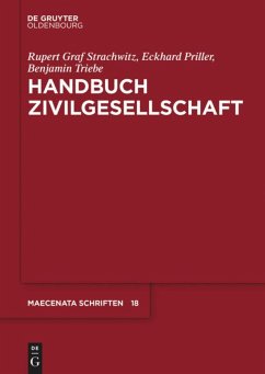 Handbuch Zivilgesellschaft - Strachwitz, Rupert;Priller, Eckhard;Triebe, Benjamin