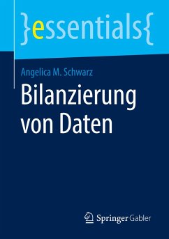 Bilanzierung von Daten - Schwarz, Angelica M.