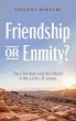 Friendship or Enmity? - Bild 1