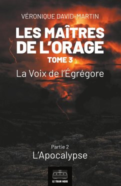 Les Maîtres de l'orage - Tome 3 : Partie 2 - Véronique David-Martin