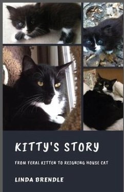 KITTY'S STORY (eBook, ePUB) - Brendle, Linda