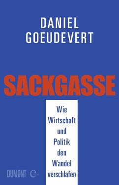 Sackgasse (eBook, ePUB) - Goeudevert, Daniel