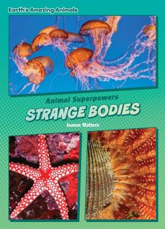 Strange Bodies (eBook, ePUB) - Mattern, Joanne