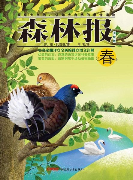 Forest Report*Spring (eBook, PDF) Forest Report*Spring (eBook, PDF)