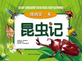 My First Book of Bugs (eBook, PDF) My First Book of Bugs (eBook, PDF)