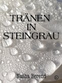 Tränen in Steingrau (eBook, ePUB)