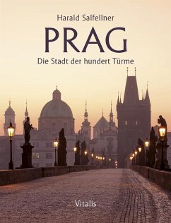 Prag - Die Stadt der hundert Türme - Salfellner, Harald