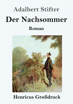 Der Nachsommer (Großdruck) - Stifter, Adalbert