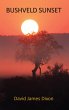 Bushveld Sunset (eBook, ePUB) - Bild 1