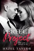 The Perfect Project (Book 1) (eBook, ePUB)