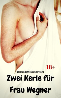 Cover Zwei Kerle für Frau Wegner (eBook, ePUB)