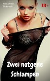 Zwei notgeile Schlampen (eBook, ePUB)