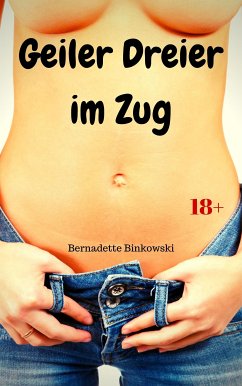 Geiler Dreier im Zug (eBook, ePUB) - Binkowski, Bernadette