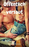 Öffentlich versaut (eBook, ePUB)