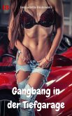 Gangbang in der Tiefgarage (eBook, ePUB)