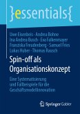 Spin-off als Organisationskonzept (eBook, PDF)
