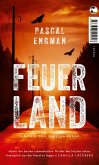 Feuerland (eBook, ePUB)