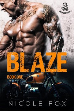 Cover Blaze (Book 1) (eBook, ePUB)