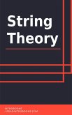 String Theory (eBook, ePUB)