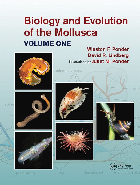 Ponder, W: Biology and Evolution of the Mollusca, Volume 1 Ponder, W: Biology and Evolution of the Mollusca, Volume 1
