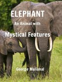 Elephant - An Animal with Mystical Features