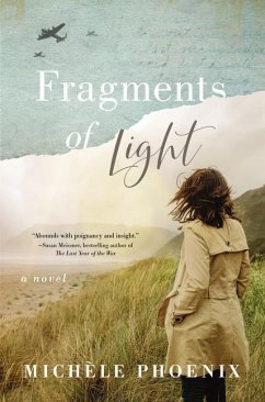 Fragments of Light - Phoenix, Michele