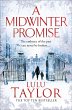 A Midwinter Promise - Bild 1