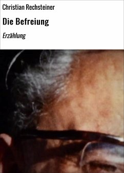 Die Befreiung (eBook, ePUB) - Rechsteiner, Christian