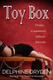 Toy Box (eBook, ePUB)