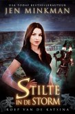 Stilte in de storm: roep van de katsina (eBook, ePUB)