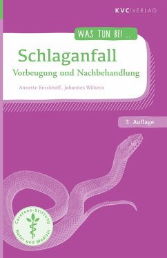 Schlaganfall - Kerckhoff, Annette;Wilkens, Johannes