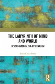 The Labyrinth of Mind and World (eBook, PDF)