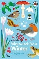What to Look For in Winter What to Look For in Winter
