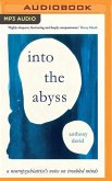 Into the Abyss: A Neuropsychiatrist's Notes on Troubled Minds