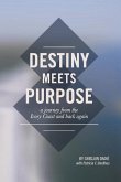 Destiny Meets Purpose: A Journey from the Ivory Coast and Back Again Volume 1