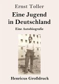 Eine Jugend in Deutschland (Großdruck)