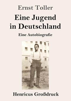 Eine Jugend in Deutschland (Großdruck) - Toller, Ernst