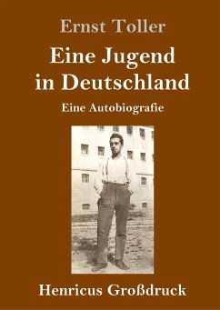 Eine Jugend in Deutschland (Großdruck) - Toller, Ernst