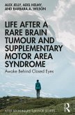 Life After a Rare Brain Tumour and Supplementary Motor Area Syndrome (eBook, PDF)